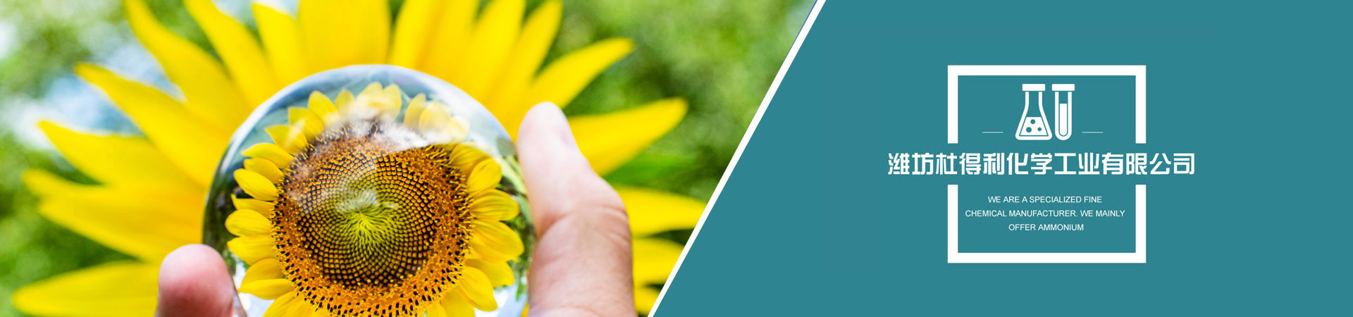 濰坊杜得利化學(xué)工業(yè)有限公司